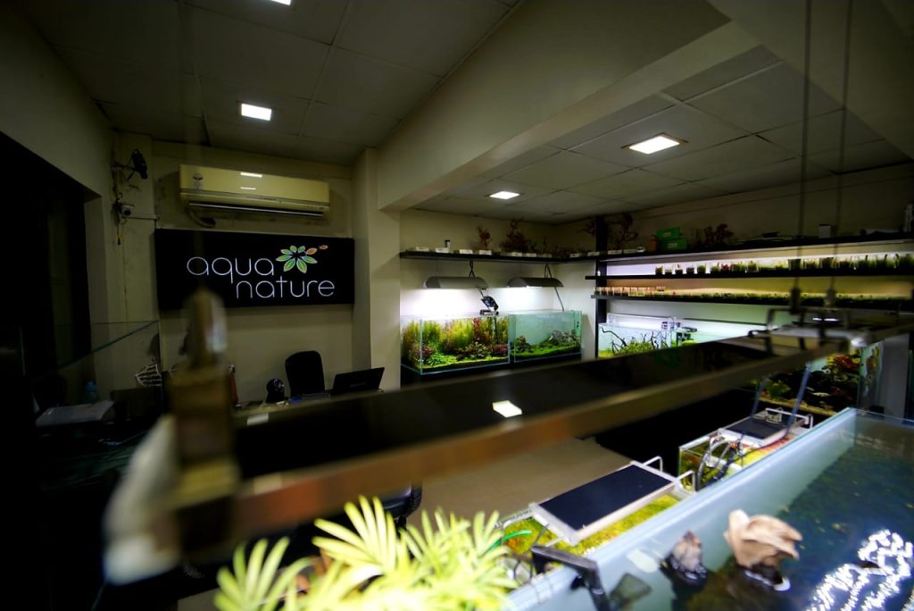 about-5